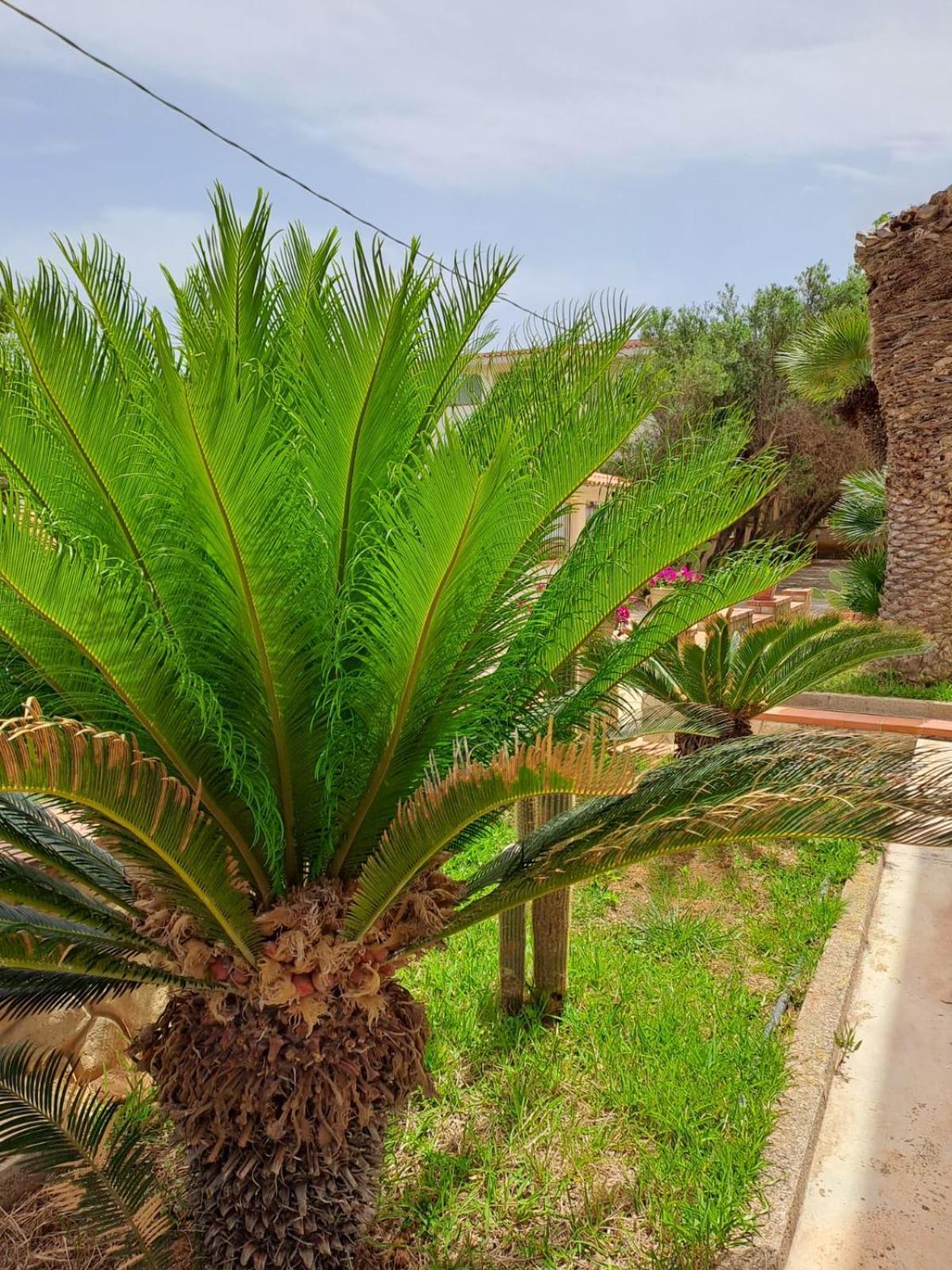 Villa Sul Mare Palazzolo ตรัปเปโต ภายนอก รูปภาพ